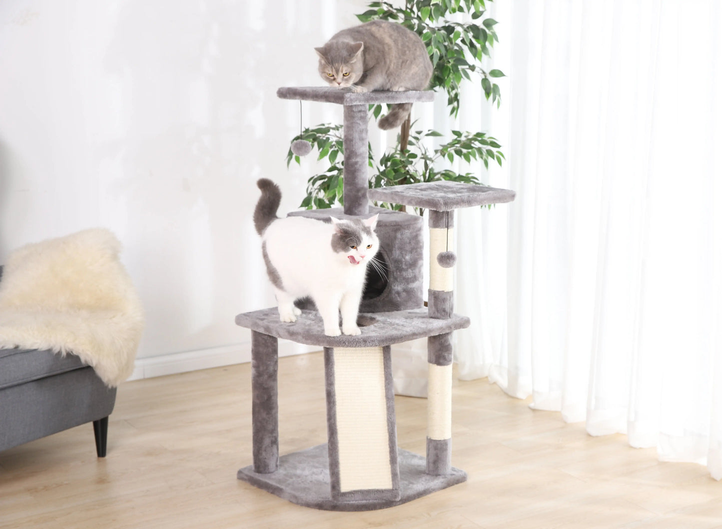 Multi-Functional Cat Tree & Condo